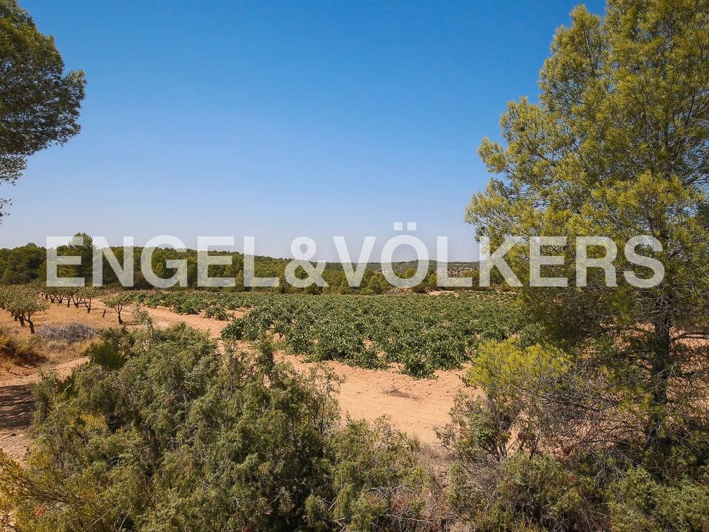 1 bedroom Finca/Country House for sale in Requena - € 350,000 (Ref: 8239331)