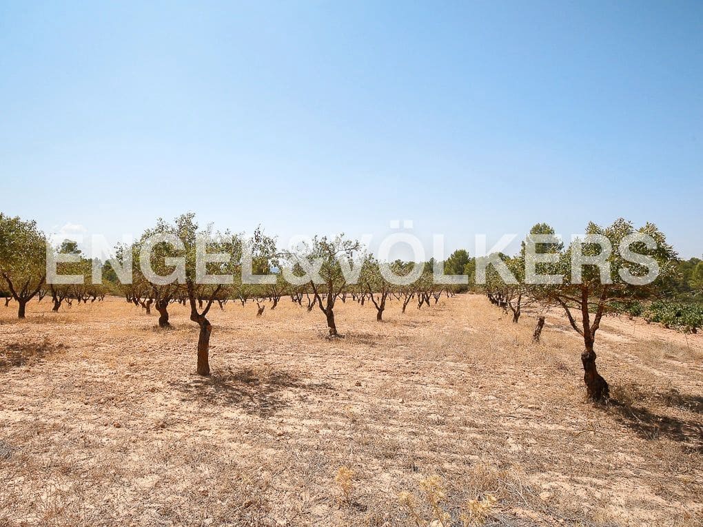 1 bedroom Finca/Country House for sale in Requena - € 350,000 (Ref: 8239331)