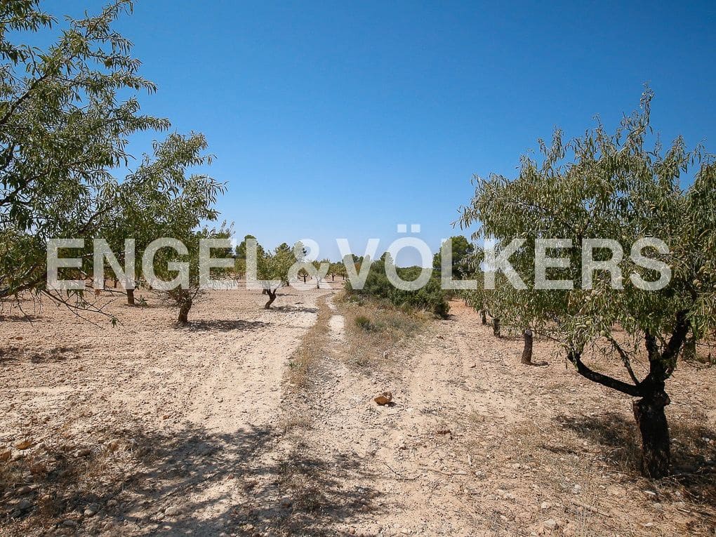 1 bedroom Finca/Country House for sale in Requena - € 350,000 (Ref: 8239331)