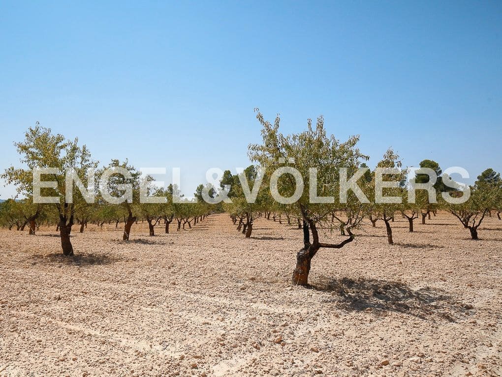 1 bedroom Finca/Country House for sale in Requena - € 350,000 (Ref: 8239331)