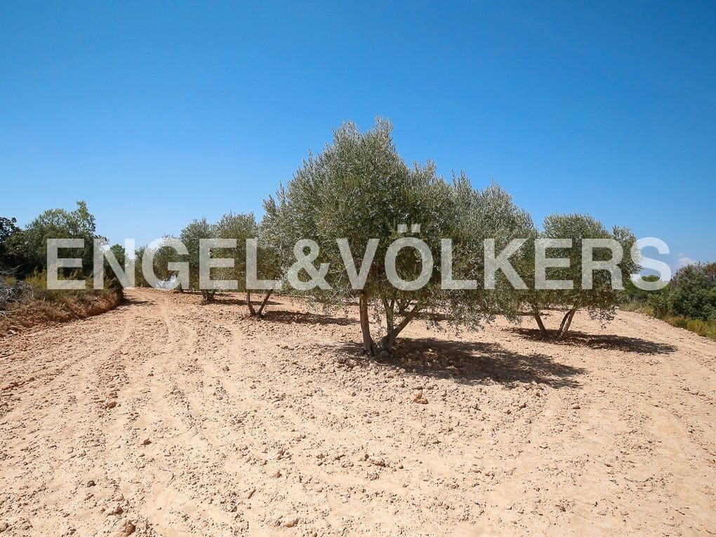 1 bedroom Finca/Country House for sale in Requena - € 350,000 (Ref: 8239331)