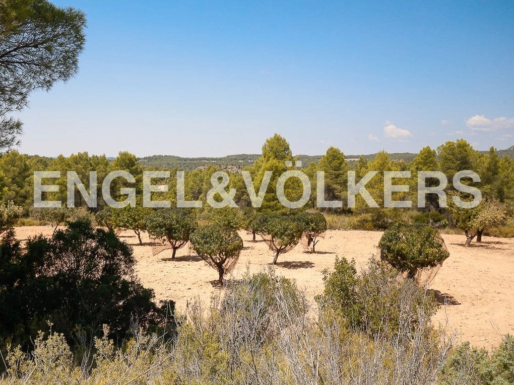 1 bedroom Finca/Country House for sale in Requena - € 350,000 (Ref: 8239331)