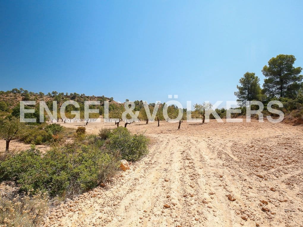 1 bedroom Finca/Country House for sale in Requena - € 350,000 (Ref: 8239331)