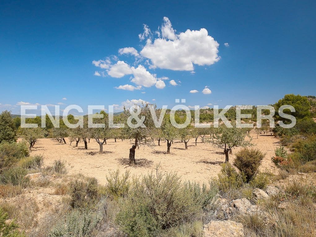 1 bedroom Finca/Country House for sale in Requena - € 350,000 (Ref: 8239331)