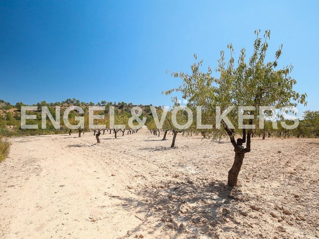 1 bedroom Finca/Country House for sale in Requena - € 350,000 (Ref: 8239331)