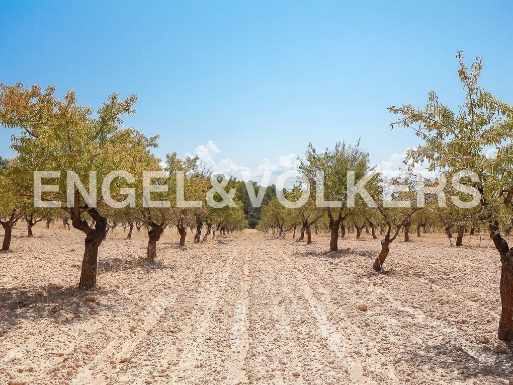 1 bedroom Finca/Country House for sale in Requena - € 350,000 (Ref: 8239331)