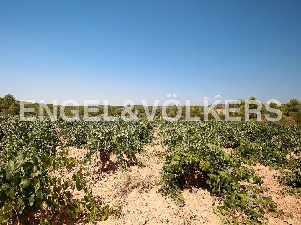 1 bedroom Finca/Country House for sale in Requena - € 350,000 (Ref: 8239331)