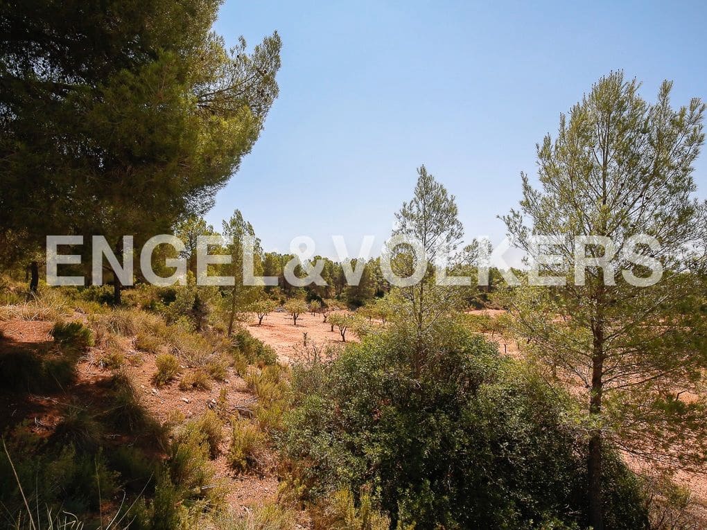 1 bedroom Finca/Country House for sale in Requena - € 350,000 (Ref: 8239331)