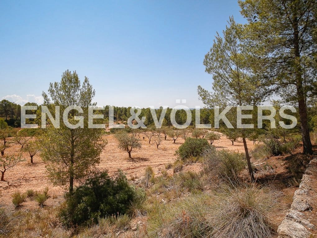 1 bedroom Finca/Country House for sale in Requena - € 350,000 (Ref: 8239331)