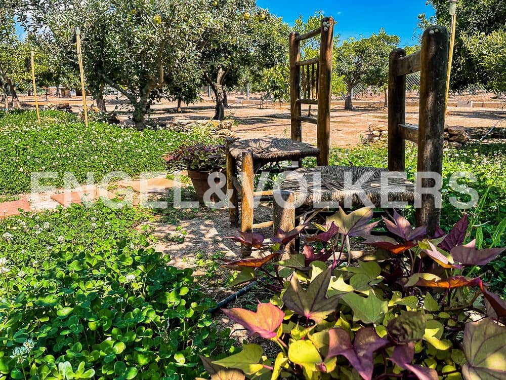 3 bedroom Finca/Country House for sale in Almassora / Almazora with garage - € 675,000 (Ref: 8239362)