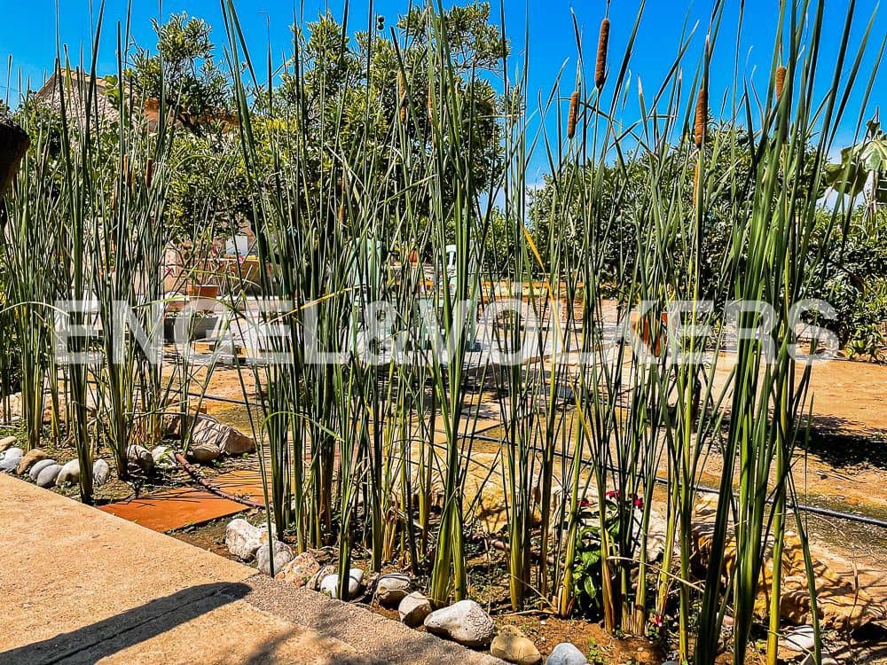 3 bedroom Finca/Country House for sale in Almassora / Almazora with garage - € 675,000 (Ref: 8239362)