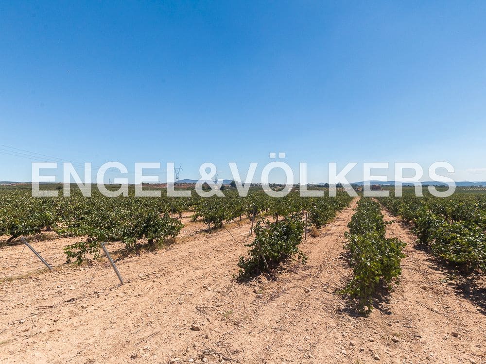 10 camera da letto Finca/Casa di Campagna in vendita in Requena con piscina - 1.800.000 € (Rif: 8239434)
