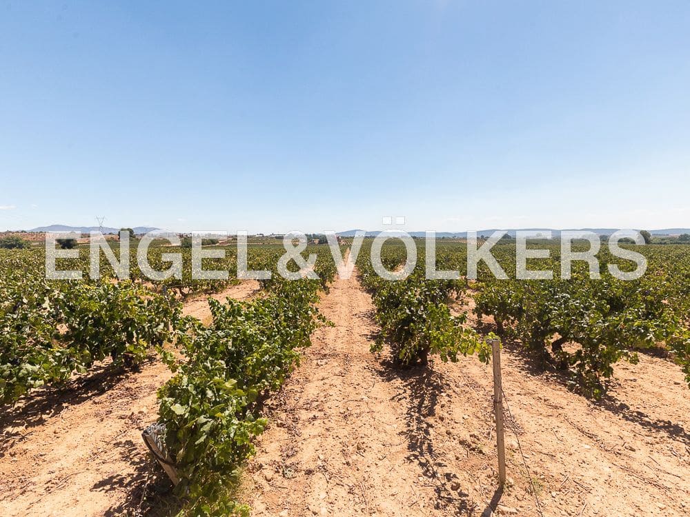 10 camera da letto Finca/Casa di Campagna in vendita in Requena con piscina - 1.800.000 € (Rif: 8239434)