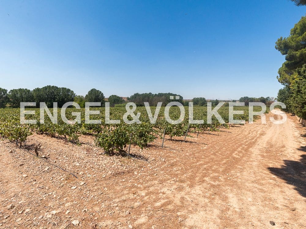 10 camera da letto Finca/Casa di Campagna in vendita in Requena con piscina - 1.800.000 € (Rif: 8239434)