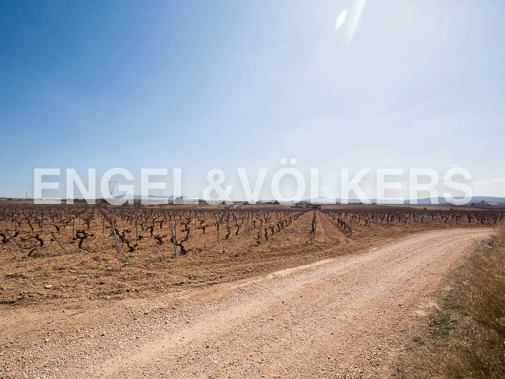 10 camera da letto Finca/Casa di Campagna in vendita in Requena con piscina - 1.800.000 € (Rif: 8239434)
