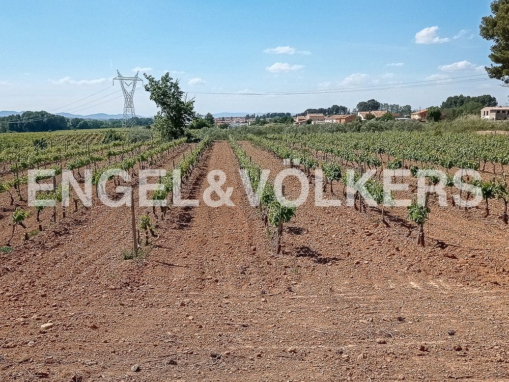 10 camera da letto Finca/Casa di Campagna in vendita in Requena con piscina - 1.800.000 € (Rif: 8239434)