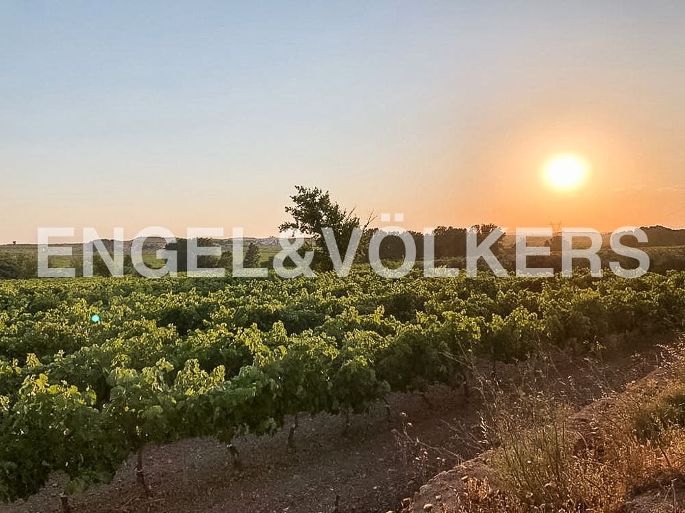 10 camera da letto Finca/Casa di Campagna in vendita in Requena con piscina - 1.800.000 € (Rif: 8239434)
