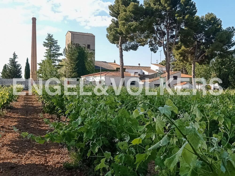 10 camera da letto Finca/Casa di Campagna in vendita in Requena con piscina - 1.800.000 € (Rif: 8239434)