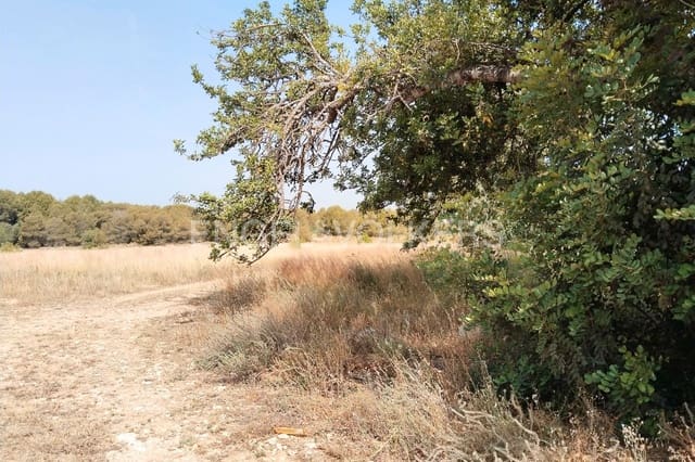 Bauplatz zu verkaufen in Manises - 800.000 € (Ref: 9079865)