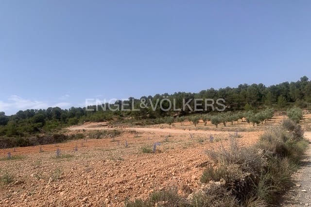 Building Plot for sale in Requena - € 1,250,000 (Ref: 9079867)