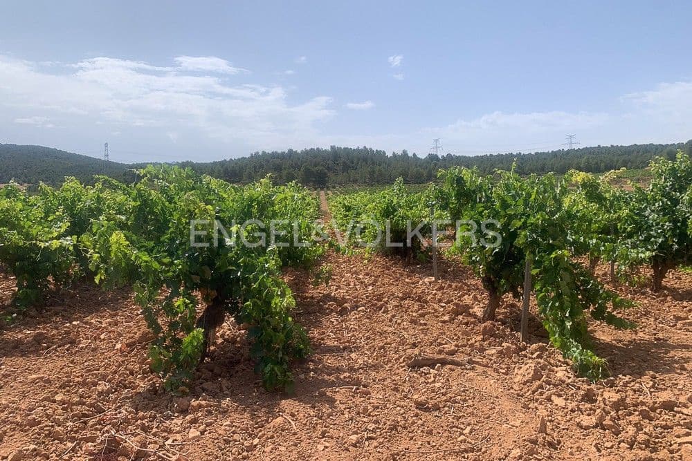 Building Plot for sale in Requena - € 1,250,000 (Ref: 9079867)