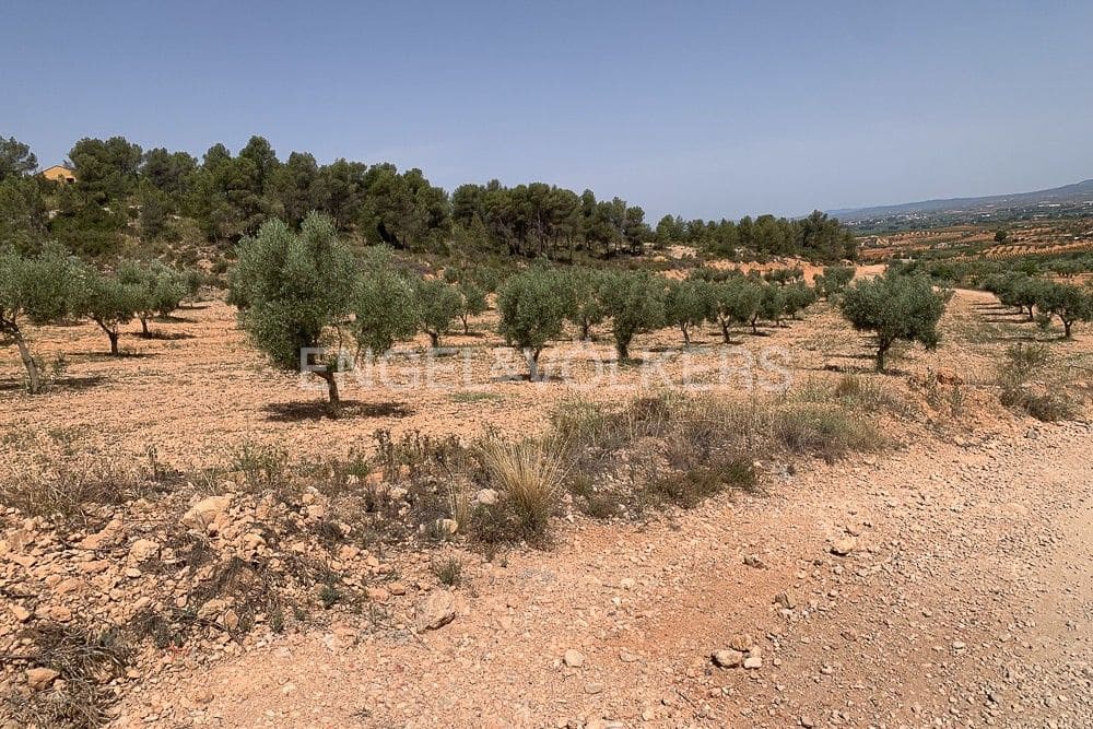 Building Plot for sale in Requena - € 1,250,000 (Ref: 9079867)