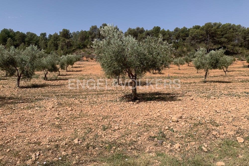 Building Plot for sale in Requena - € 1,250,000 (Ref: 9079867)