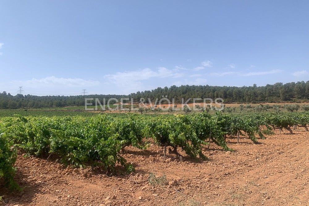 Building Plot for sale in Requena - € 1,250,000 (Ref: 9079867)