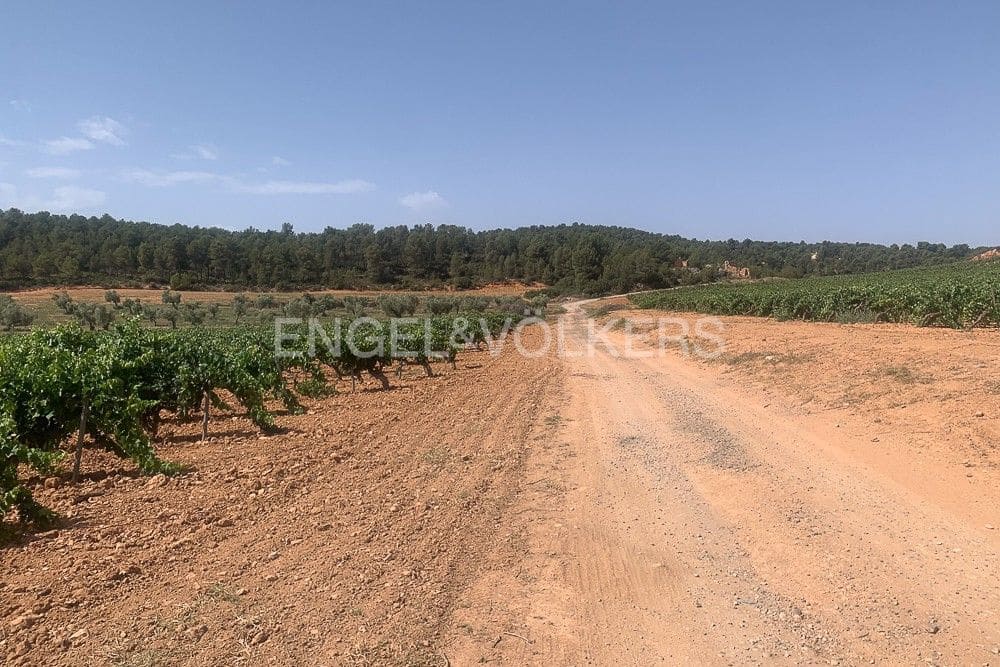 Building Plot for sale in Requena - € 1,250,000 (Ref: 9079867)