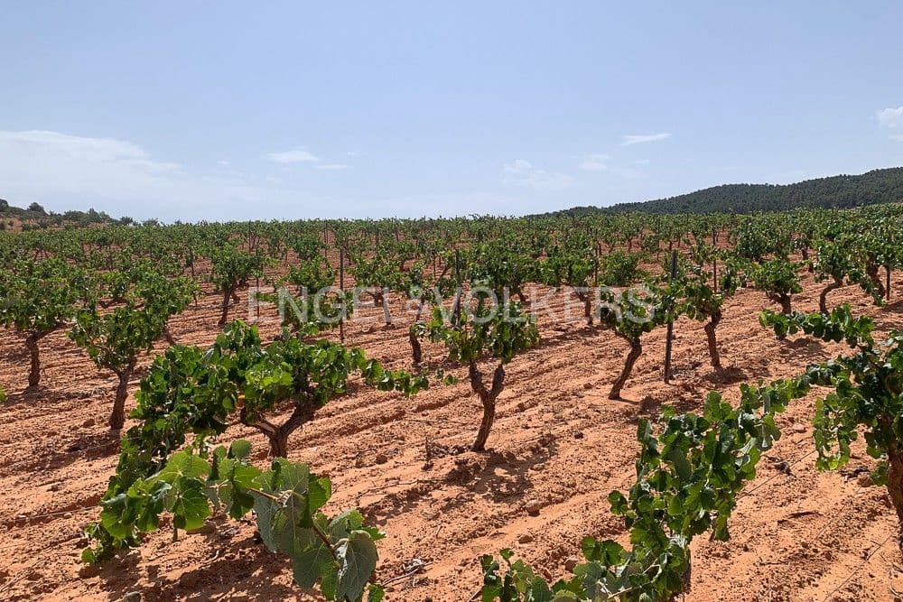 Building Plot for sale in Requena - € 1,250,000 (Ref: 9079867)