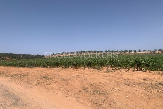 Building Plot for sale in Requena - € 1,250,000 (Ref: 9079867)