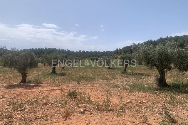 Building Plot for sale in Requena - € 1,250,000 (Ref: 9079867)