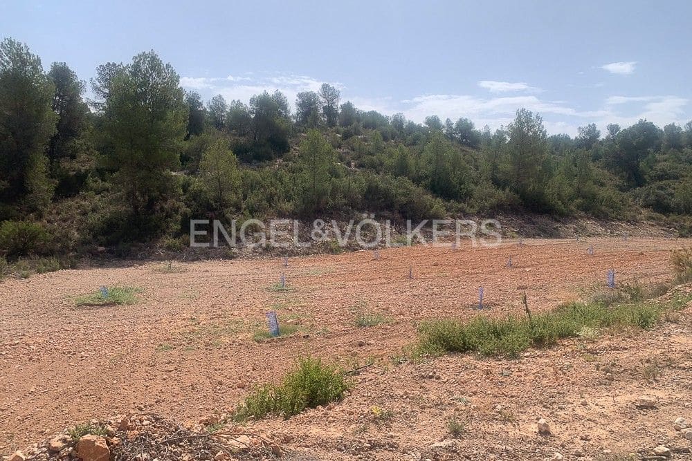 Building Plot for sale in Requena - € 1,250,000 (Ref: 9079867)