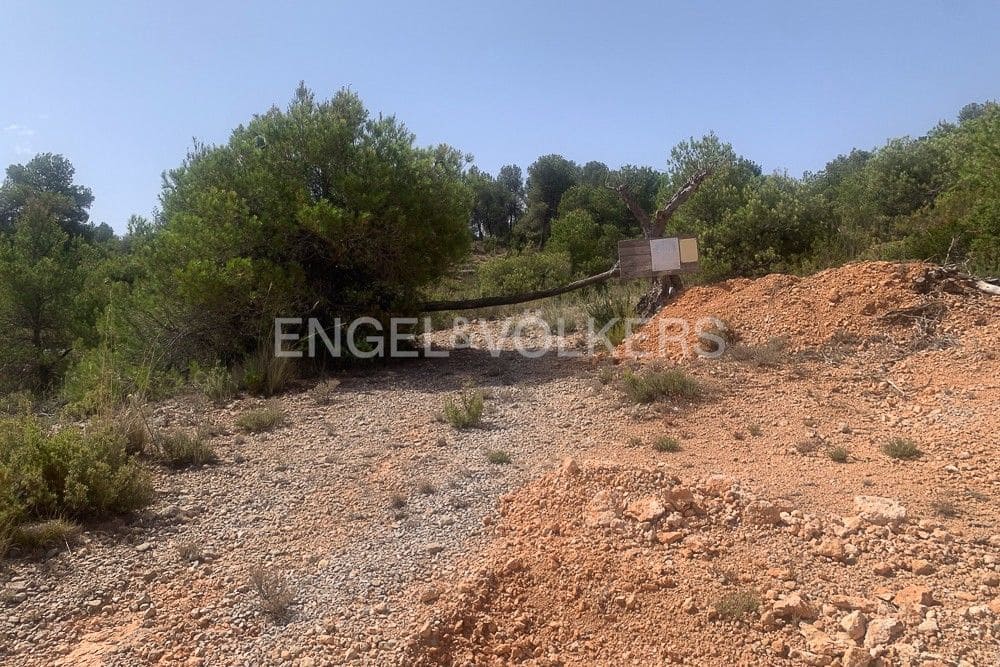 Building Plot for sale in Requena - € 1,250,000 (Ref: 9079867)