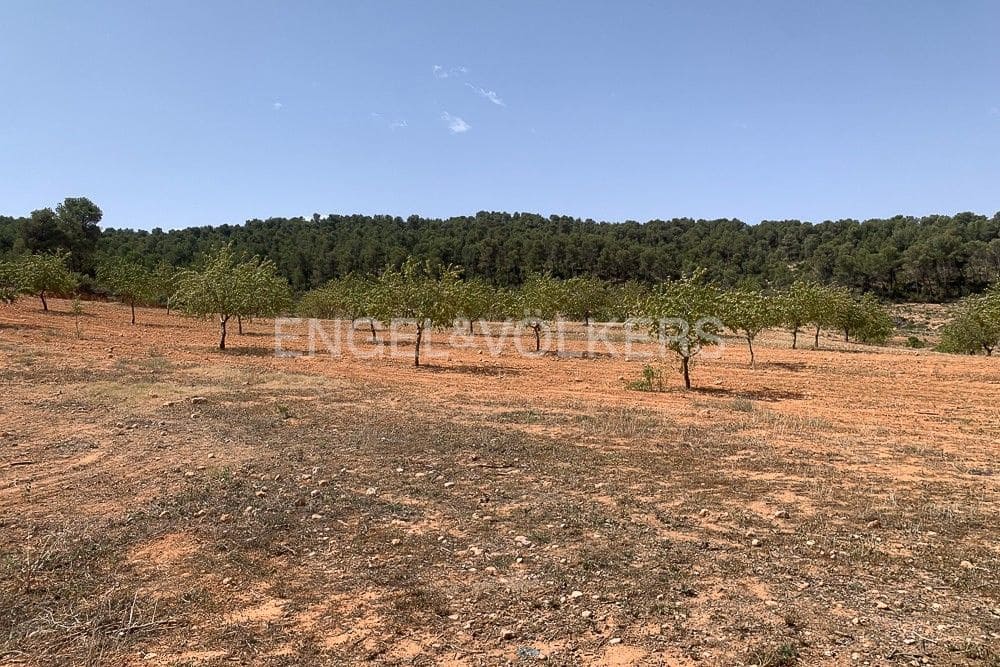 Building Plot for sale in Requena - € 1,250,000 (Ref: 9079867)