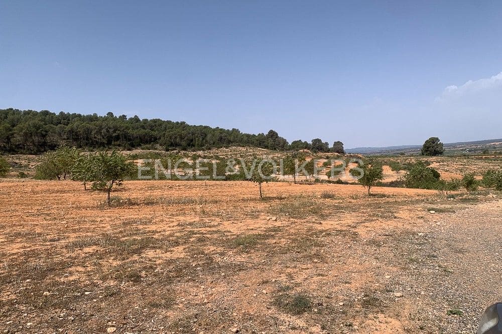 Building Plot for sale in Requena - € 1,250,000 (Ref: 9079867)