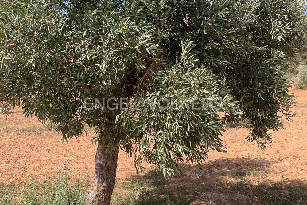 Building Plot for sale in Requena - € 1,250,000 (Ref: 9079867)