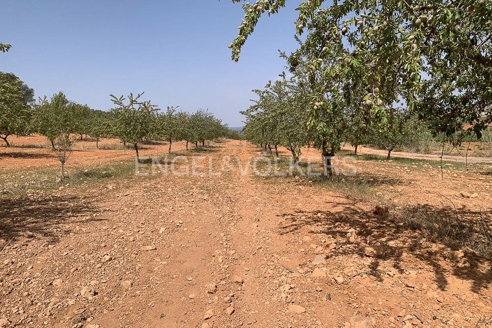 Building Plot for sale in Requena - € 1,250,000 (Ref: 9079867)