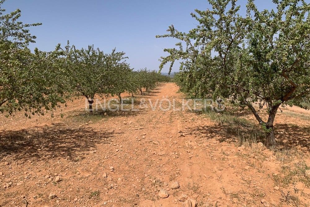 Building Plot for sale in Requena - € 1,250,000 (Ref: 9079867)
