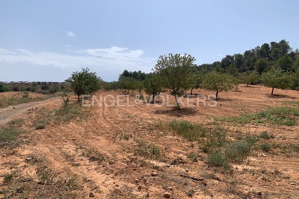 Building Plot for sale in Requena - € 1,250,000 (Ref: 9079867)
