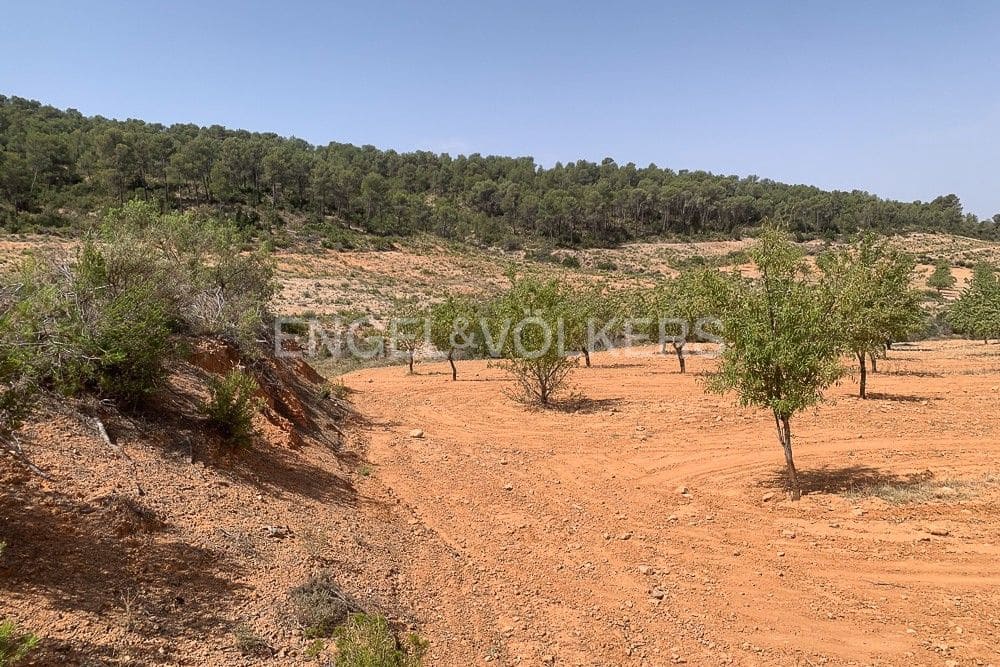 Building Plot for sale in Requena - € 1,250,000 (Ref: 9079867)
