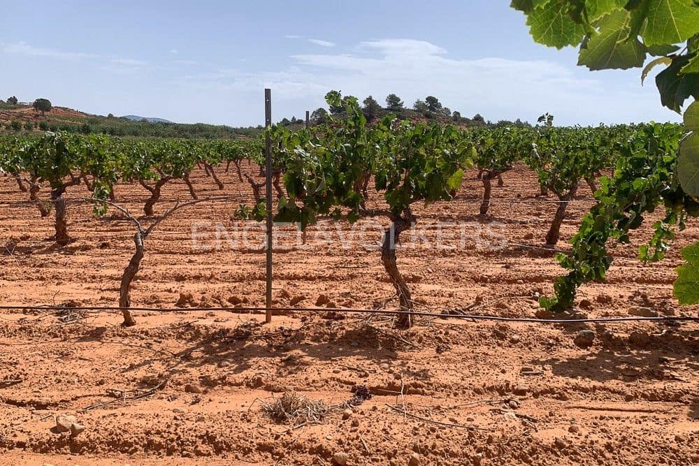 Building Plot for sale in Requena - € 1,250,000 (Ref: 9079867)