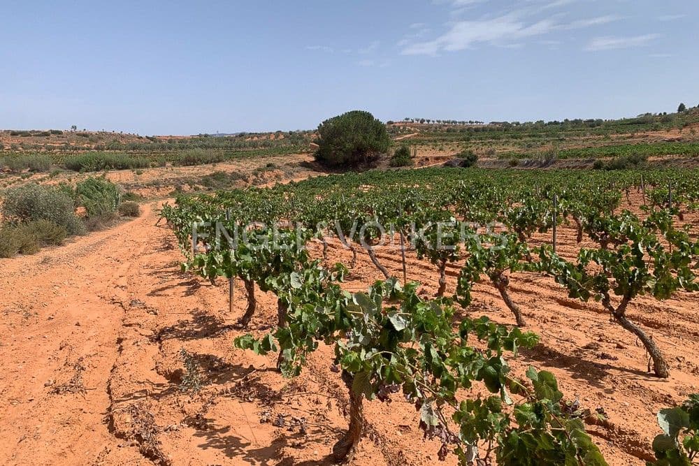 Building Plot for sale in Requena - € 1,250,000 (Ref: 9079867)