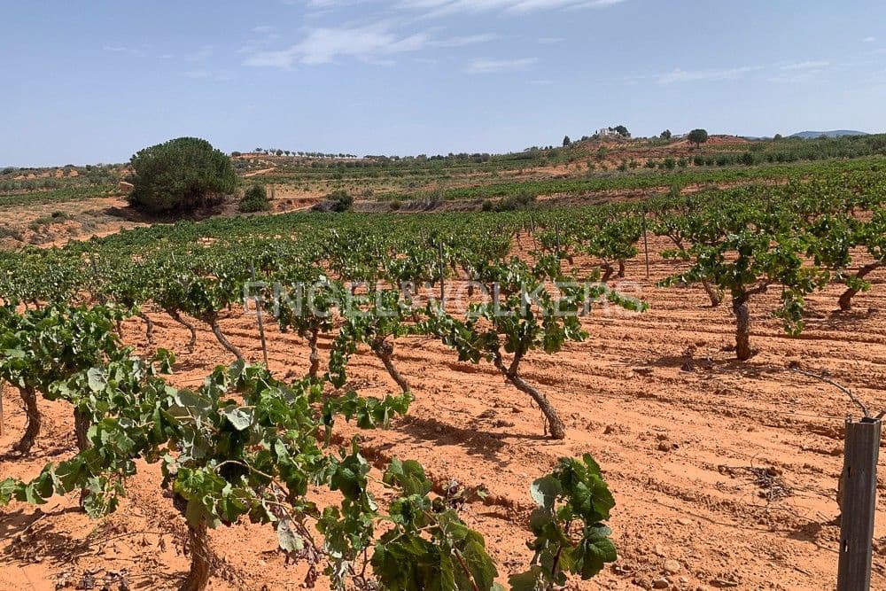 Building Plot for sale in Requena - € 1,250,000 (Ref: 9079867)