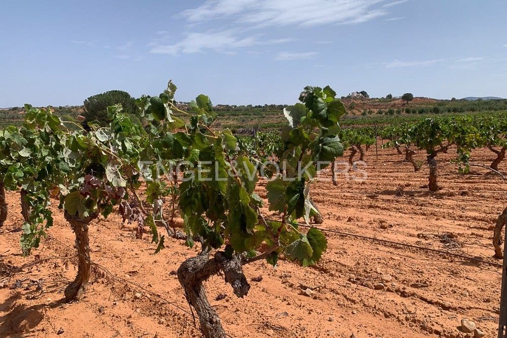 Building Plot for sale in Requena - € 1,250,000 (Ref: 9079867)