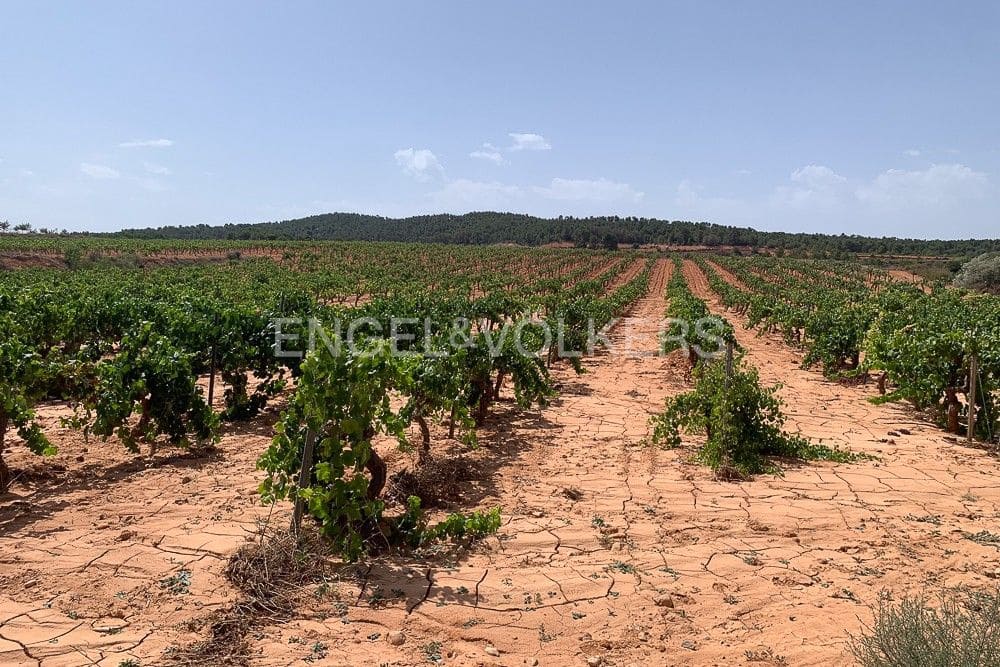 Building Plot for sale in Requena - € 1,250,000 (Ref: 9079867)