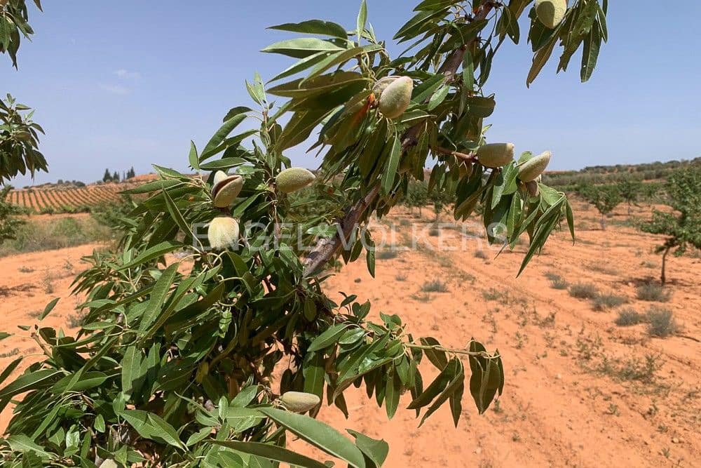 Building Plot for sale in Requena - € 1,250,000 (Ref: 9079867)