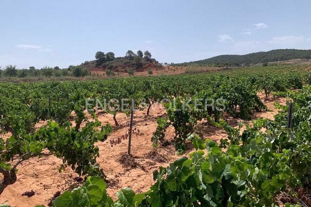 Building Plot for sale in Requena - € 1,250,000 (Ref: 9079867)