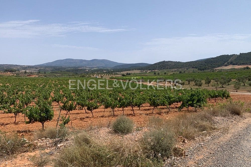 Building Plot for sale in Requena - € 1,250,000 (Ref: 9079867)