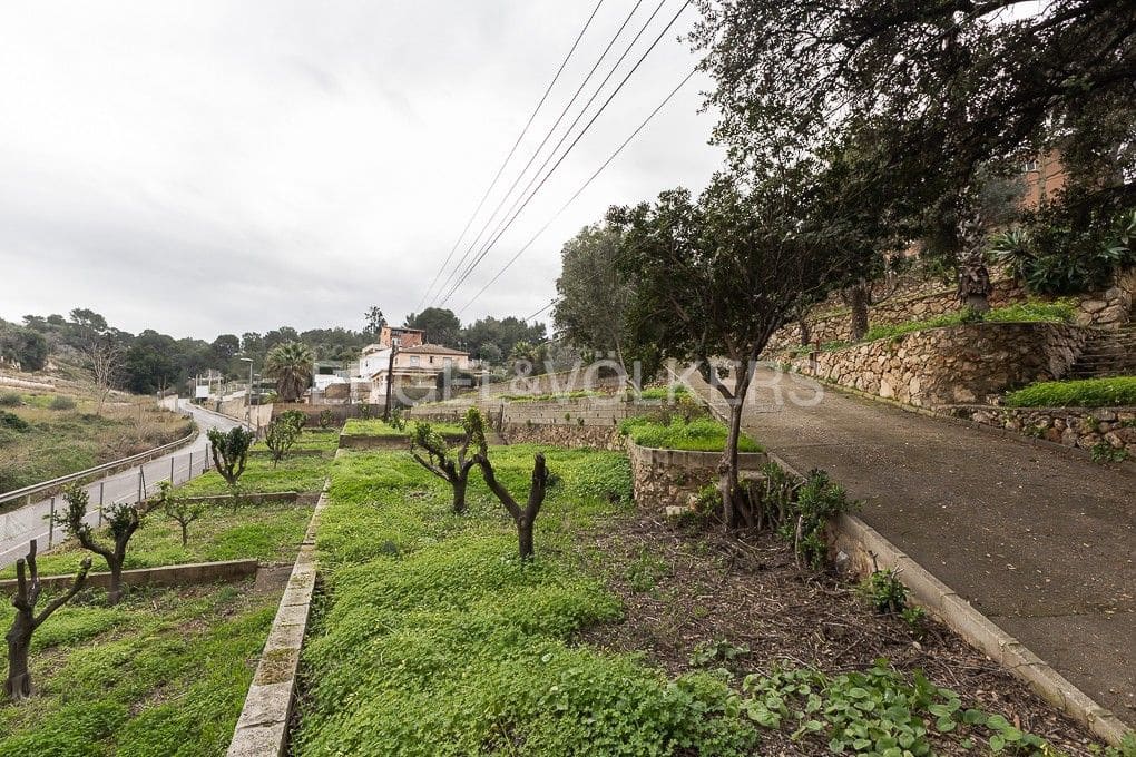 Terrain à Bâtir à vendre à Alzira - 345 000 € (Ref: 9079871)